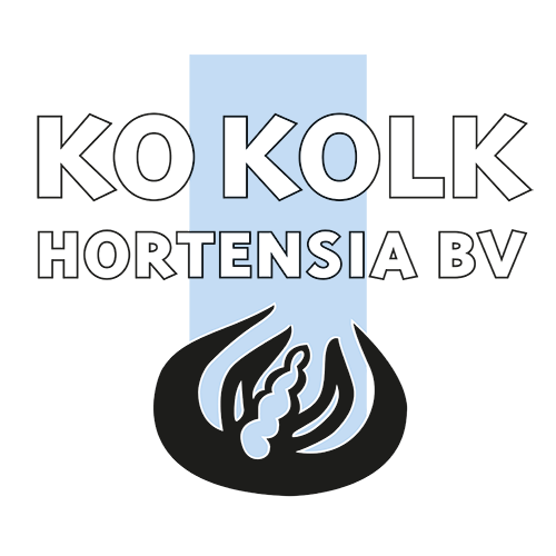 kolk_logo-2.png