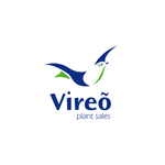 500 Logo Vireo 1