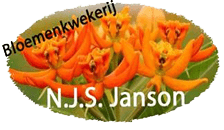 Janson logo