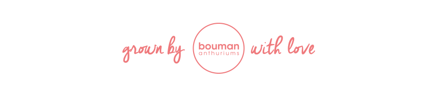 bouman anthurium logo wit1