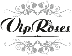 logo Vip