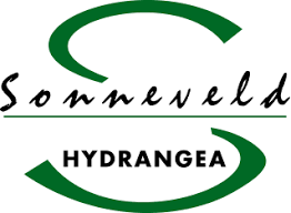 sonneveld hydrangea logo